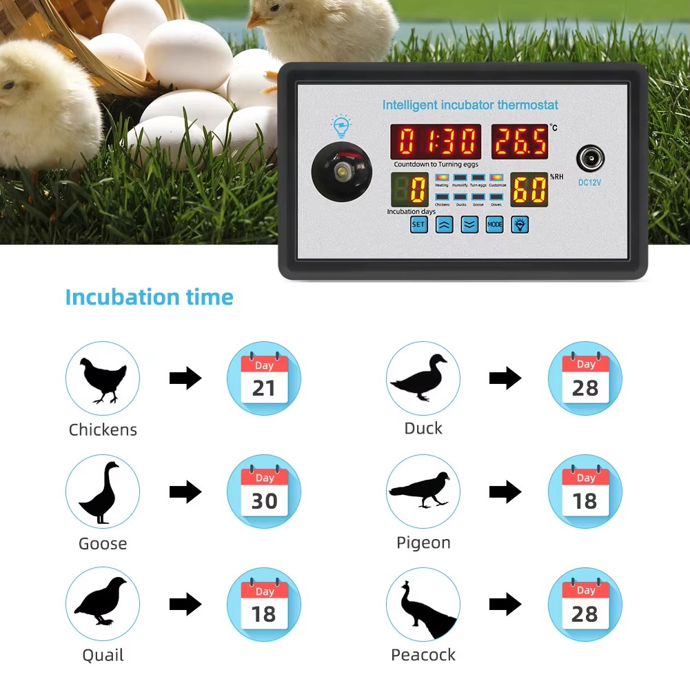 Poultry Incubator - ZFX-W9002 12V/220V Eierinkubator-Controller mit Temperatur- und
