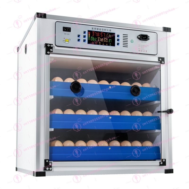 Poultry Incubator - Tragbarer Haushalts-Eierinkubator Kleiner Brutapparat für Hühner-