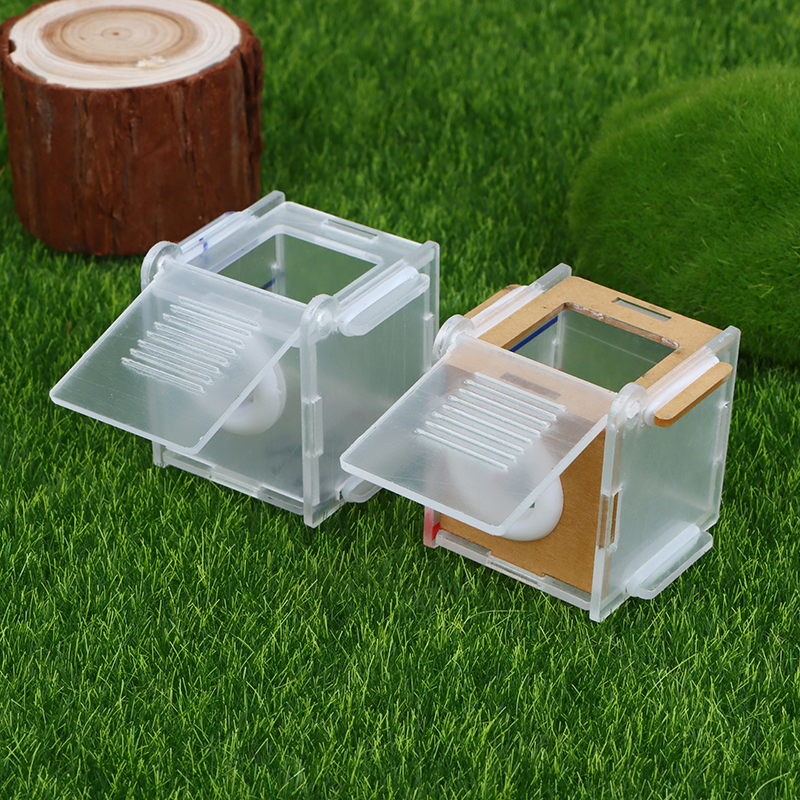 Farming Zone - 1pc Ameisen nest Glasrohr Mini Ameisen