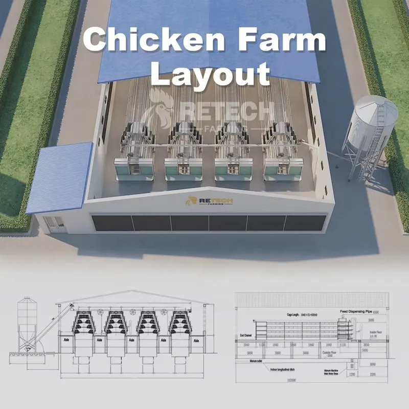 Automatischer Hühnerkäfig Typ  – Farming Africa Bewertung und Preis