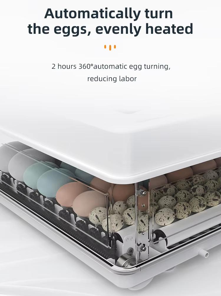 Vollautomatischer 130-Eier-Ink – Poultry Incubator Bewertung und Preis