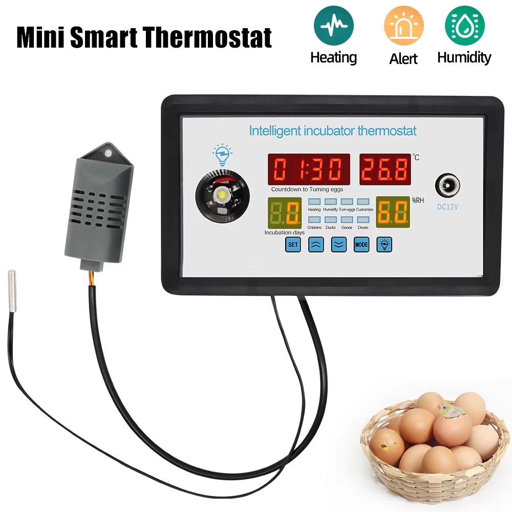 ZFX-W9002 12V/220V Eierinkubat – Poultry Incubator Bewertung und Preis