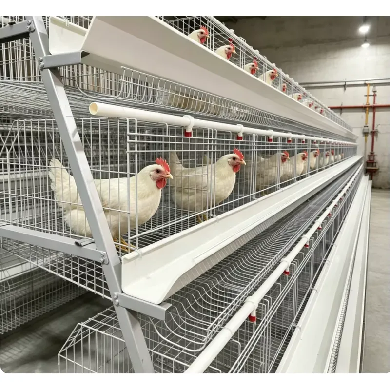 A-Typ Batterie-Käfigsystem Kom – Farming Africa Bewertung und Preis