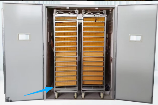 Großer 1000-Eier-Inkubator, Vo – Poultry Incubator Bewertung und Preis