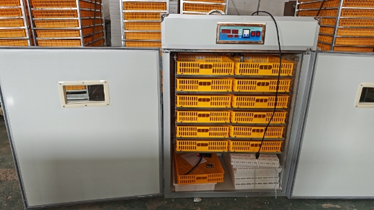 Großer 1000-Eier-Inkubator, Vo – Poultry Incubator Bewertung und Preis