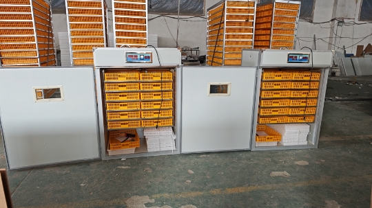 Großer 1000-Eier-Inkubator, Vo – Poultry Incubator Bewertung und Preis