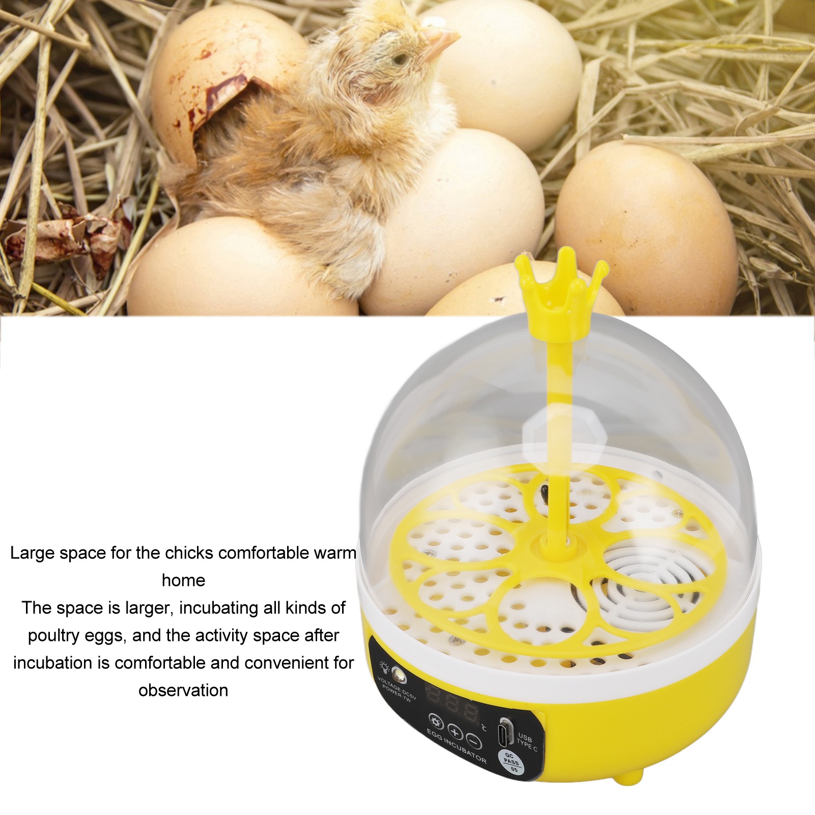 Eierinkubator, automatische Te – Poultry Incubator Bewertung und Preis