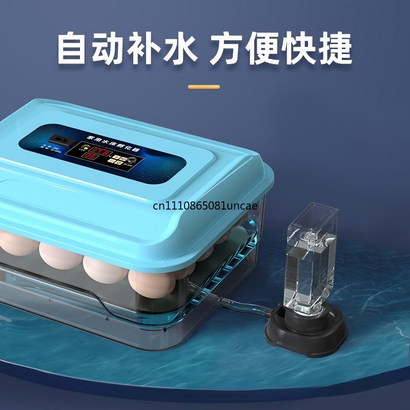 Intelligenter Brutkasten mit k – Poultry Incubator Bewertung und Preis