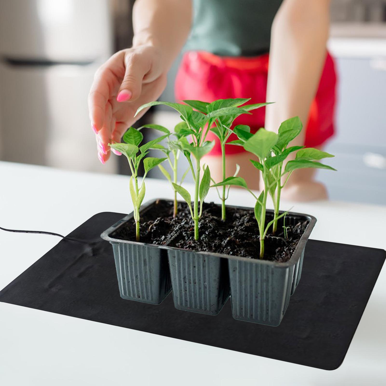 Pflanzenheizmatte mit 3 Temper – Seedling Heat Mat Bewertung und Preis