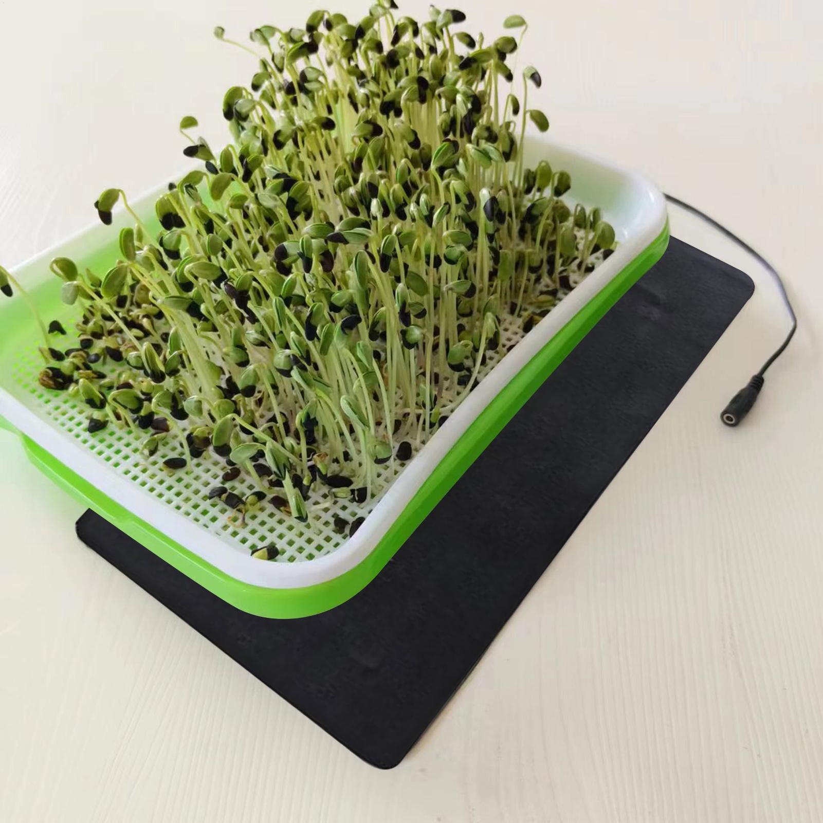 8,5W Sämling-Heizmatte 5V 2A P – Seedling Heat Mat Bewertung und Preis