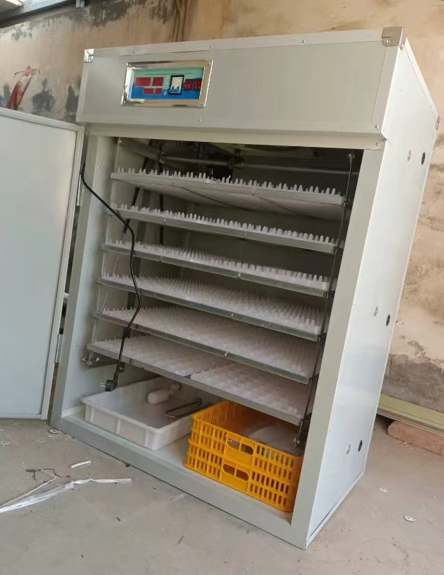 Solarbetriebener 1056-Eier-Ink – Farming Africa Bewertung und Preis