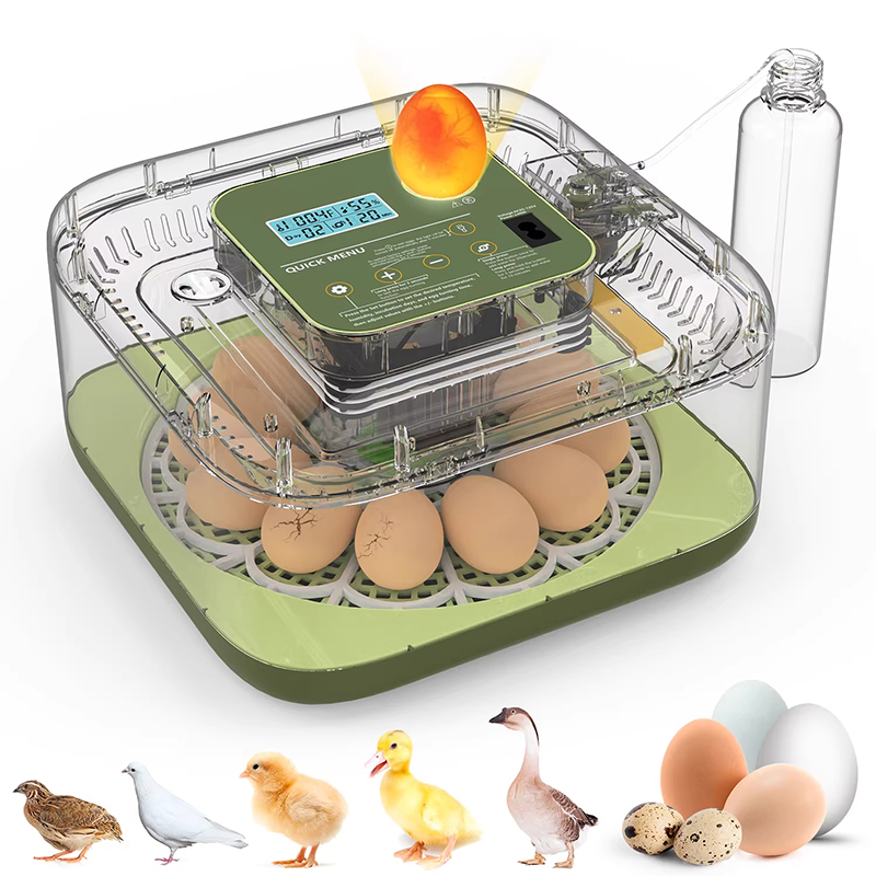 Eierinkubator mit Temperatur-  – Poultry Incubator Bewertung und Preis