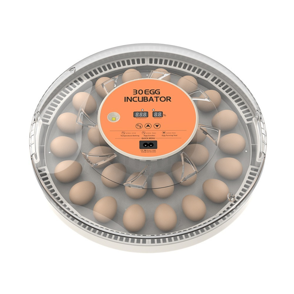 Kleiner automatischer Geflügel – Poultry Incubator Bewertung und Preis