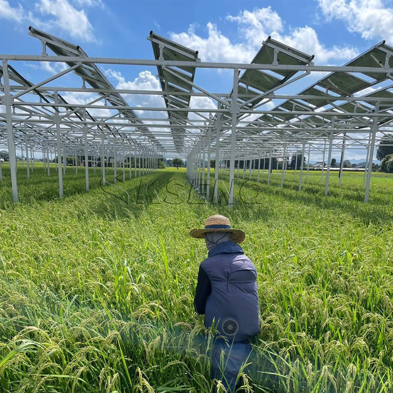 Japans Neues Landwirtschaftlic – Sustainable Agriculture/Farming Bewertung und Preis
