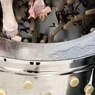 Geflügelentfederungsmaschine f – Farming Africa Bewertung und Preis