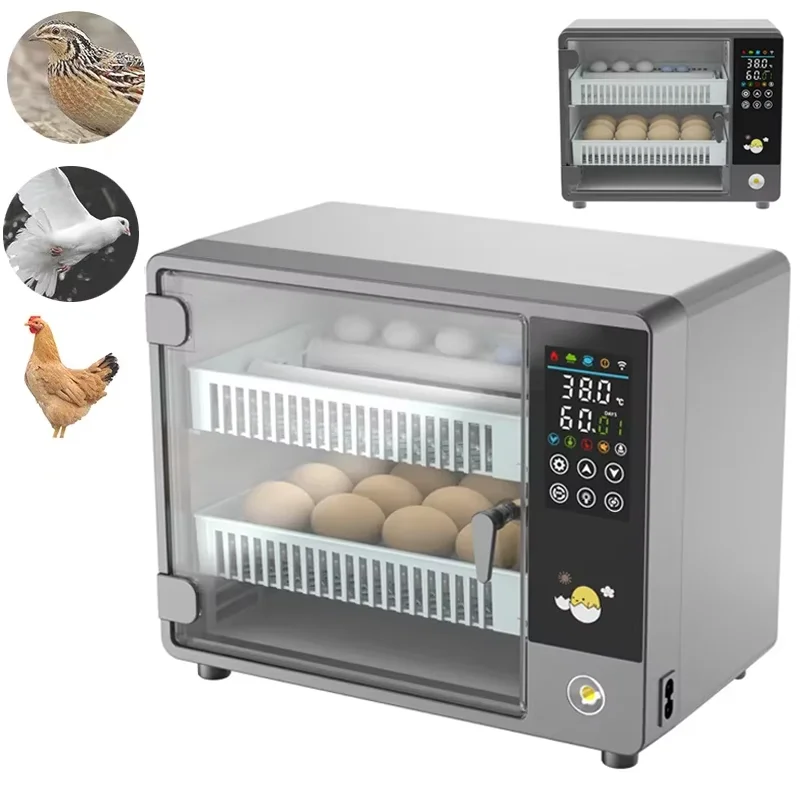 Intelligenter Automatischer Ei – Poultry Incubator Bewertung und Preis