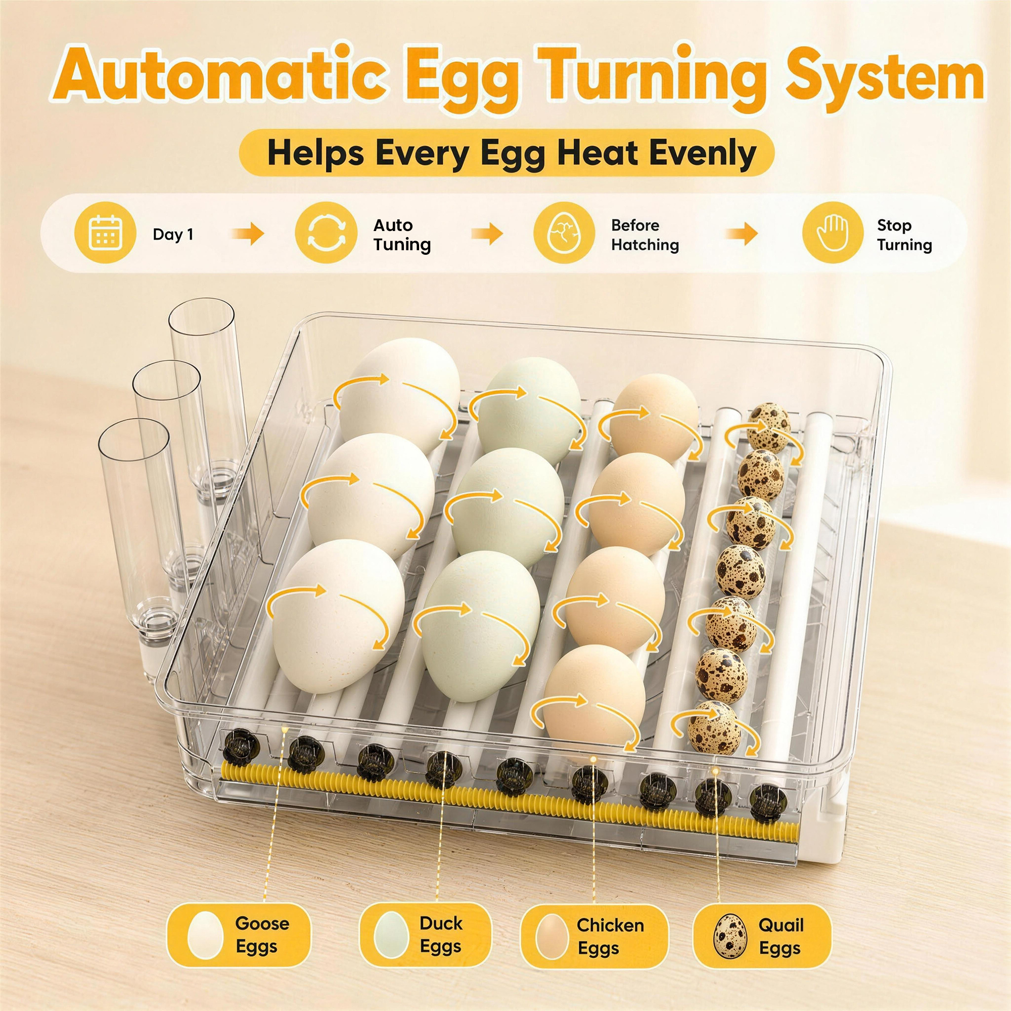 Automatischer 3-stufiger Eieri – Poultry Incubator Bewertung und Preis