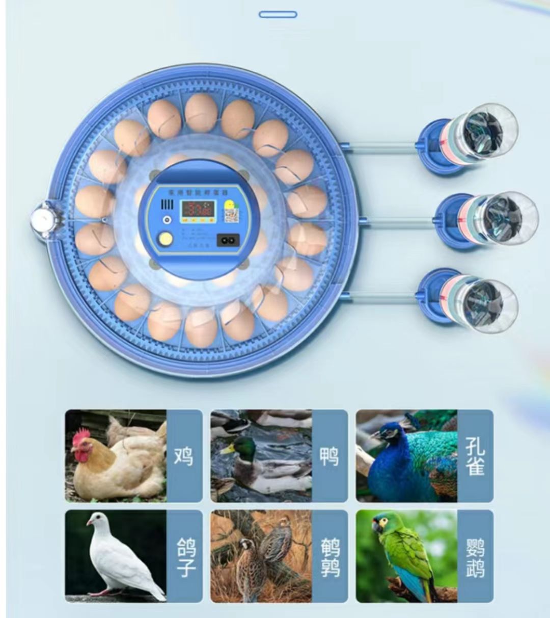20/24/36/56/96/112 Eier Hühner – Poultry Incubator Bewertung und Preis